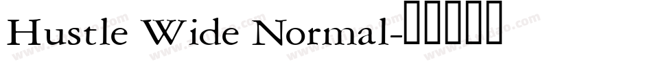 Hustle Wide Normal字体转换